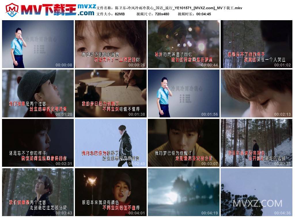 陈卫东-冷风冷雨冷我心_国语_流行_YE101571
